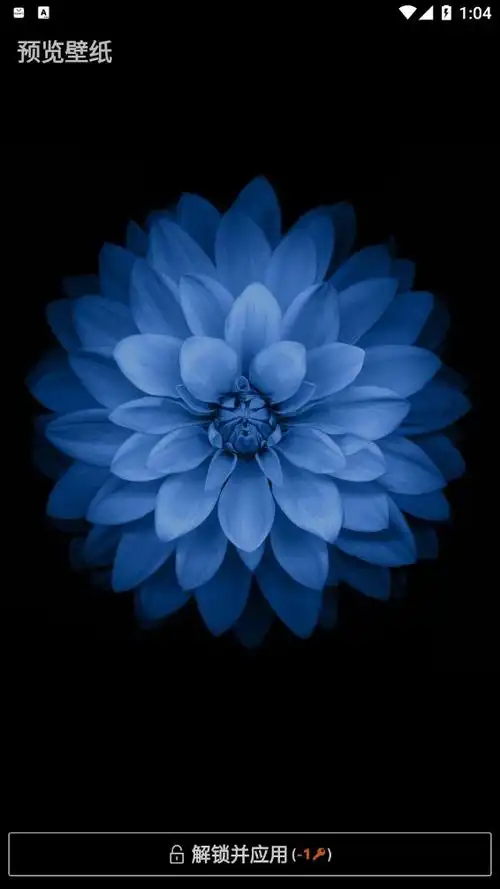 资源都是非常高清的,而且你还可以使用它来同时设置锁屏和壁纸的图片