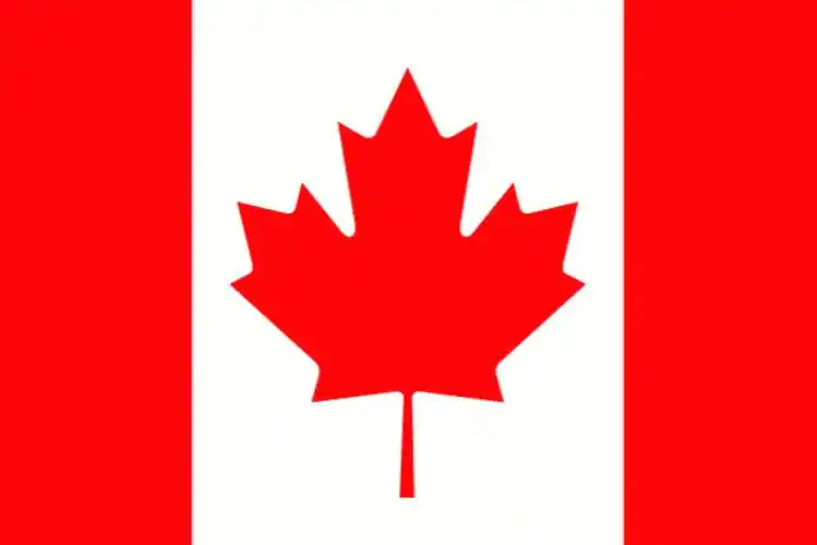 多大,麦吉尔,ubc这三所申请难度较高的学校之外,加拿大还有哪些性价比