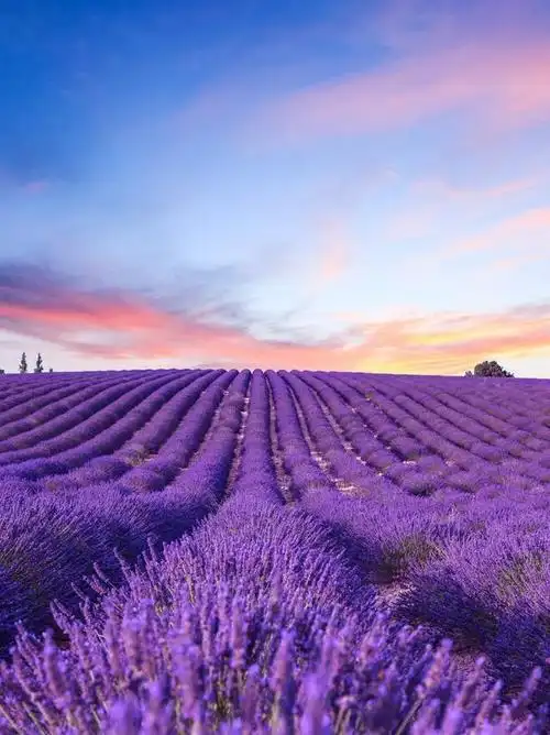 世界上最美的地方,全球最美的100个地方