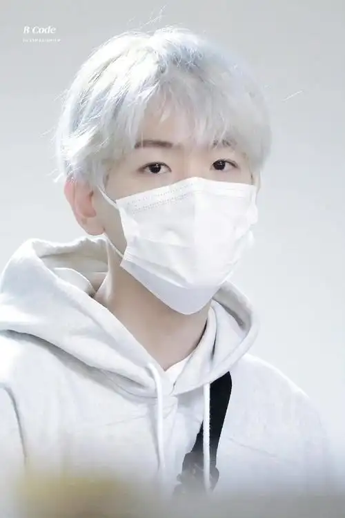 图楼边伯贤口罩素材02