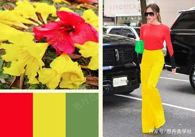 生活中我们很多人对于服装色彩搭配都是一知半解,没有系统地学习过,全