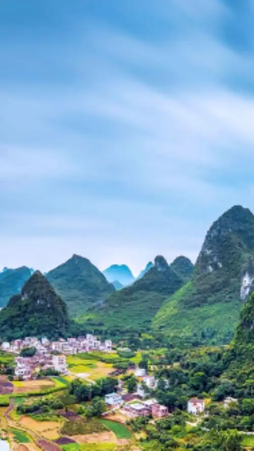 一生平安 花开只等你来采