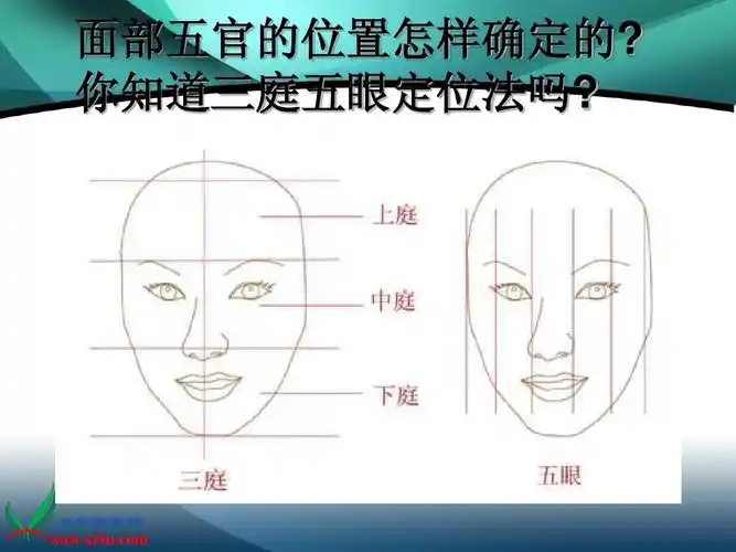 你知道三庭五眼定位法吗?