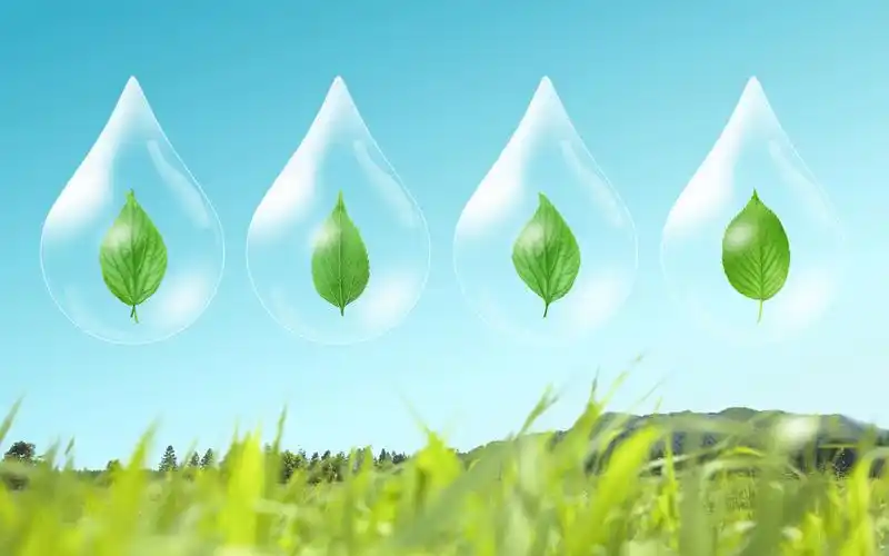 绿色小清新保护视力桌面壁纸