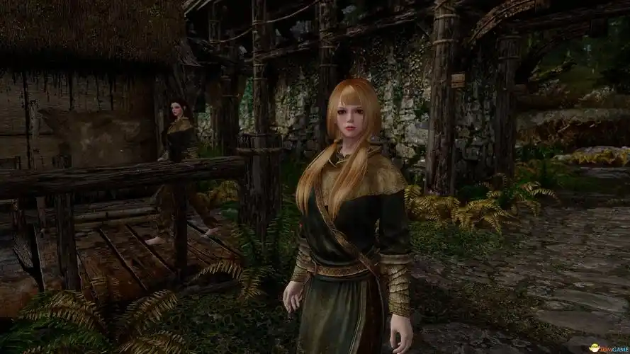 上古卷轴5天际重制版v10随从五合一mod