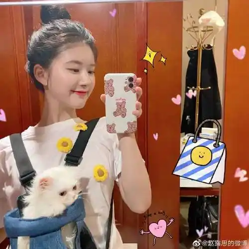 赵露思毛绒手机壳
