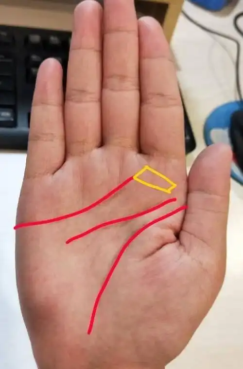 手相:为何有的人晚年子孙满堂,有的人到老孤苦无依