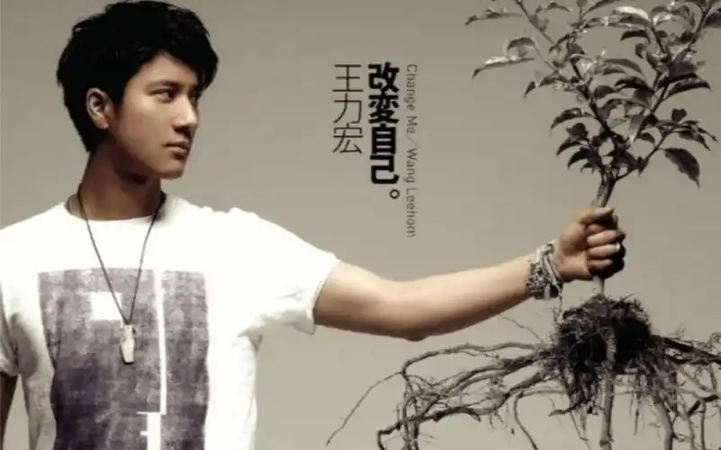 王力宏专辑《改变自己》排名