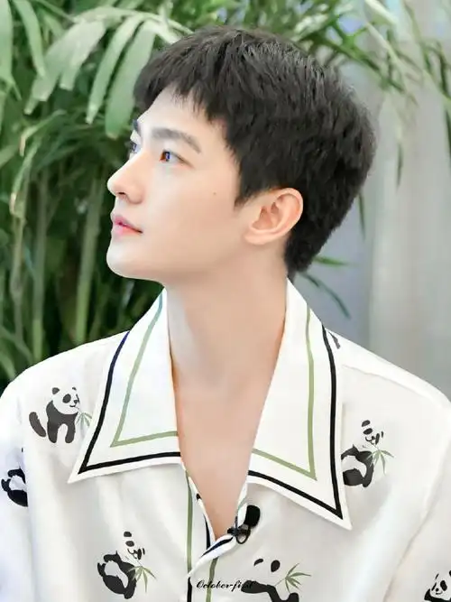 天呐几岁啊小熊猫好可爱91#杨洋