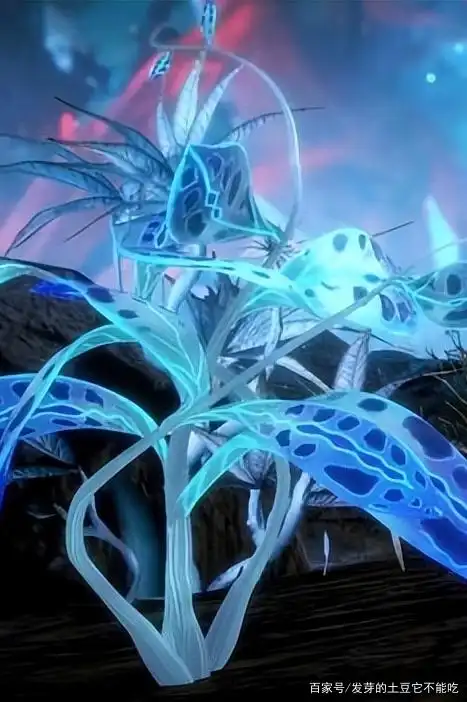 斗罗大陆:解开唐三蓝银草登顶的"绝密"