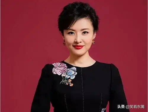 央视《文艺栏目》中心中任,春晚主持人之一,央视资深记者.