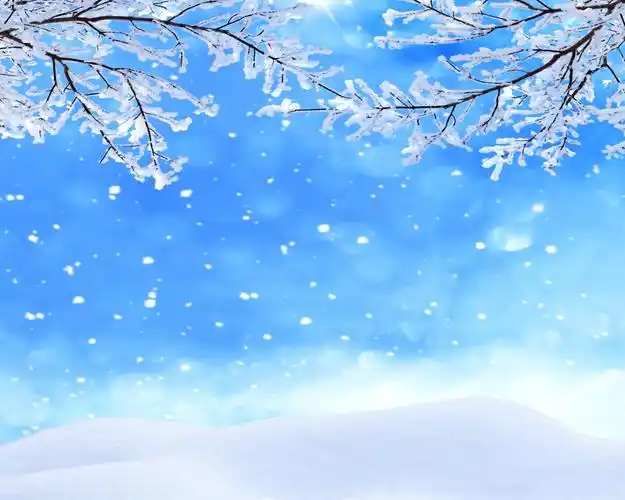 冬天,枝杈,雪,雪花,天空 iphone 壁纸