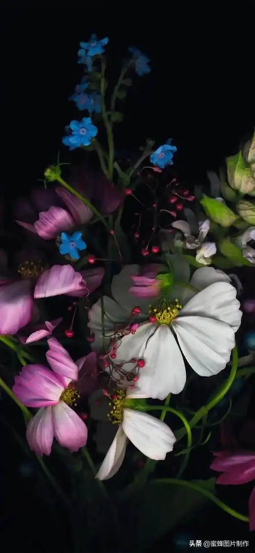 护眼壁纸,护眼壁纸风景(高清护眼壁纸背景图)