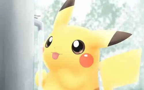 皮卡丘的幸福生活,高清壁纸图片,卡通明星-回车桌面