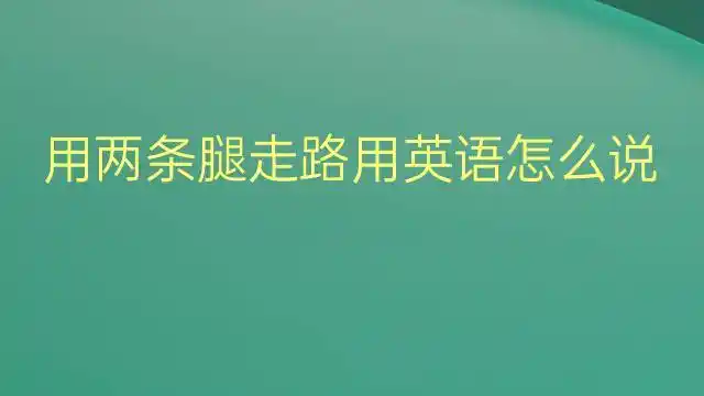 用两条腿走路用英语怎么说 用两条腿走路英语翻译-翻译大全-流利查词