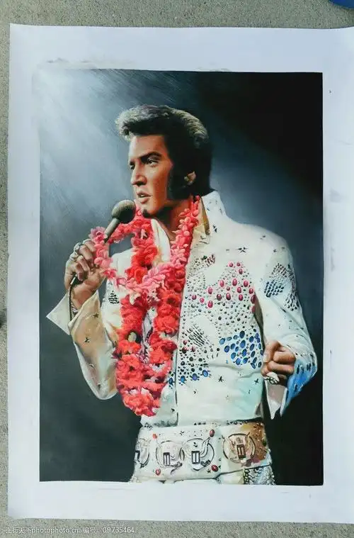 猫王演唱会图片