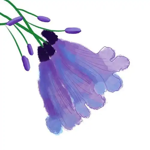 以蓝花楹之名为春城圈粉五华区6年来精心打造蓝花楹文化艺术节