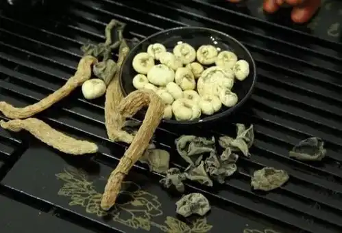 中医将亡于中药(深刻到绝望的好文)