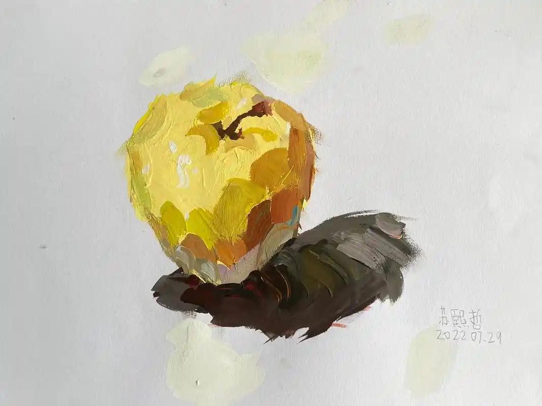学生单个苹果色彩练习