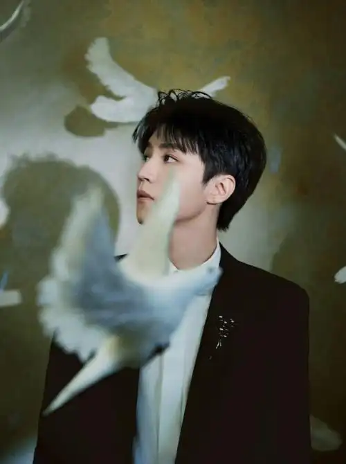 上影节红毯##王俊凯上影节好忙