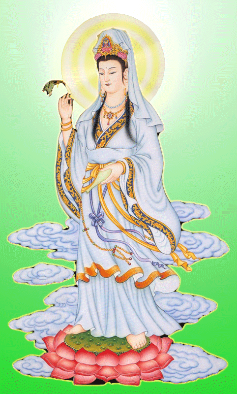 482_800竖版 竖屏gif 动态图 动图