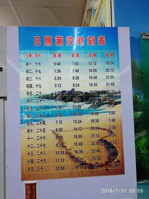 看海的小伙子们