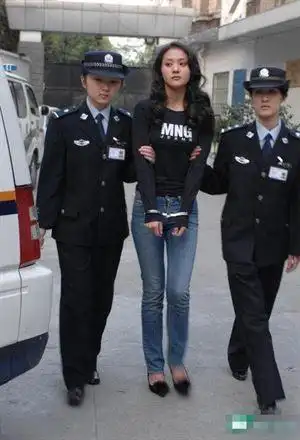 刘伊平,广州白云机场售票员,因贪污55万获罪,赃款全部追缴,1991年被处