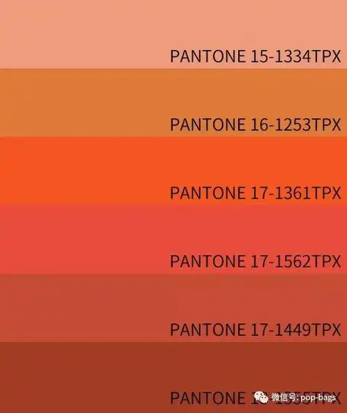 2020春夏女包色彩趋势脏橘色系