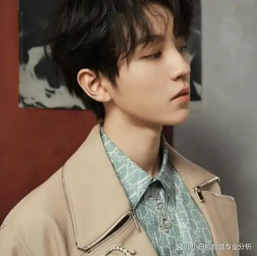 整形医生分析:王俊凯颜值胜在软组织恰到好处,自然生成贵气感