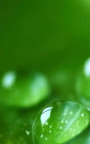 送给大家29张绿色屏保,常看手机的一定要存下啊!