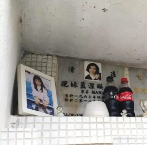 粉丝为其打理墓地,墓碑前摆满鲜花和可乐|天堂|蓝洁瑛|墓地_新浪新闻