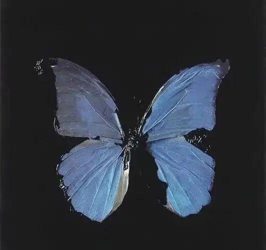 小众高级背景图 分享 自取