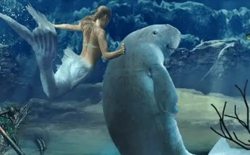 儒艮为什么叫美人鱼?儒艮怎么读(rú gèn)?