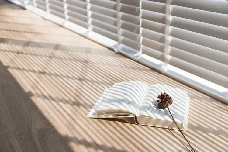 阳光透过百叶窗洒进客厅,太治愈人心了.