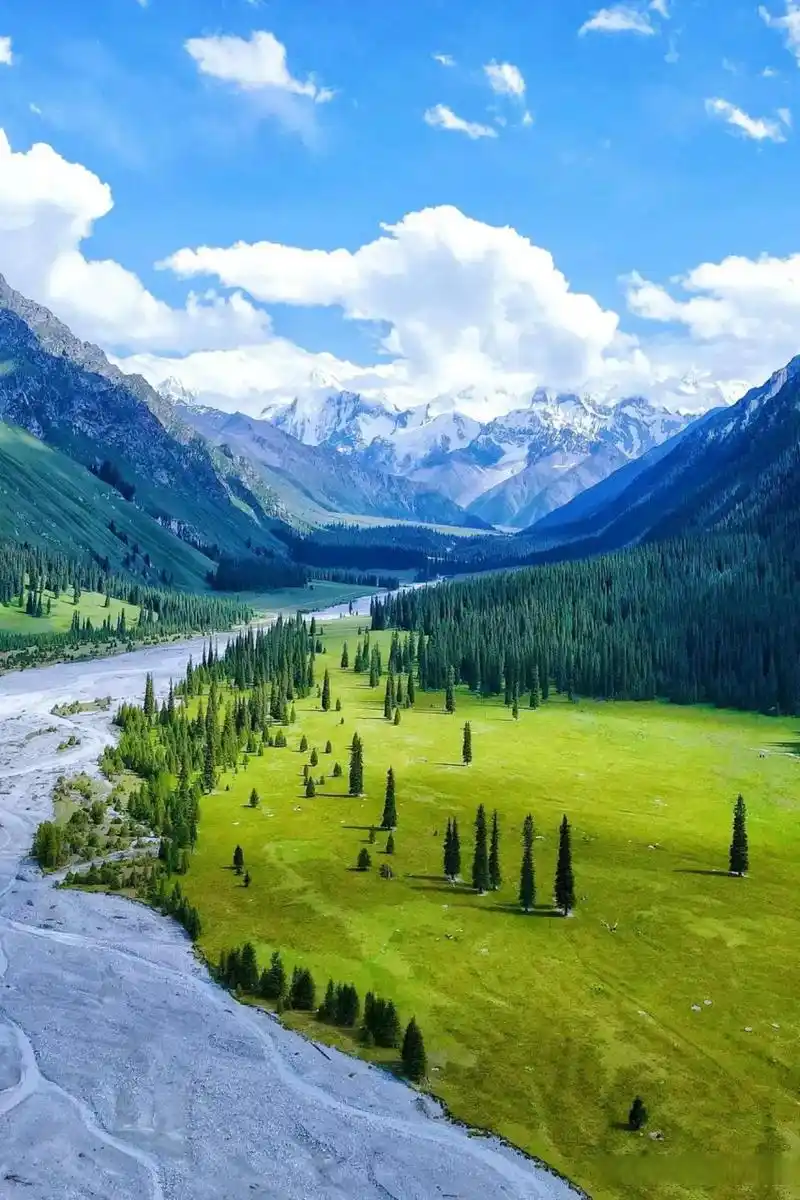 853_1280竖版 竖屏