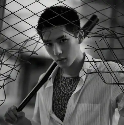 微信头像王安宇