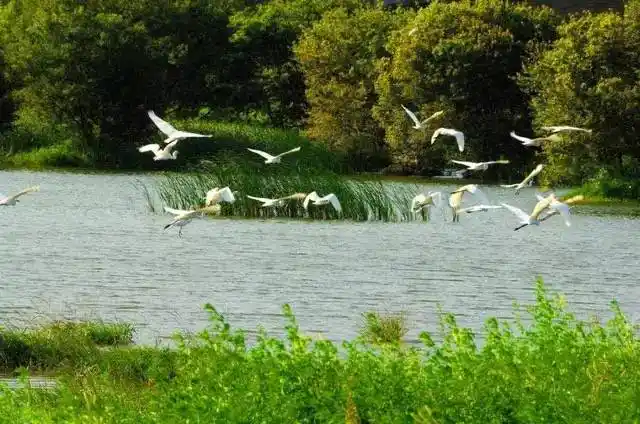 中国十大最美海岛"之一,海陵岛