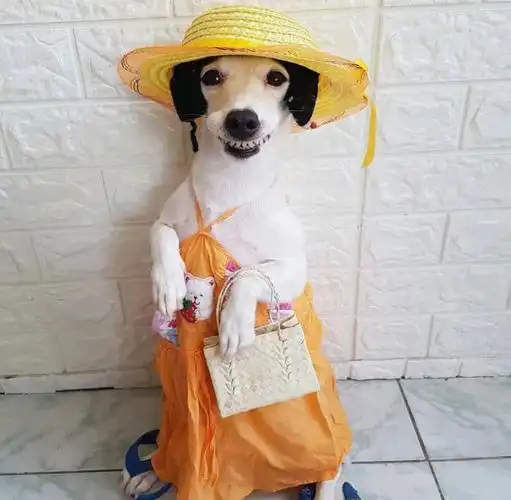 超级笑话不笑你厉害,幽默风趣,搞笑逗比!