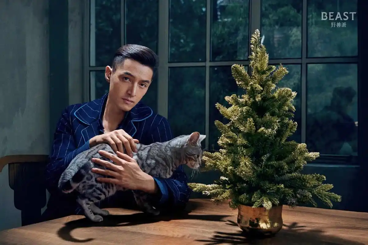 希望你说了晚安之后 是真的去睡觉了 #胡歌 #壁纸 #野兽 - 抖音