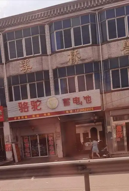 骆驼蓄电池图片