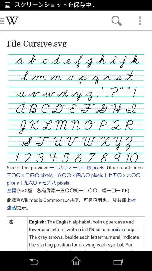 估计是草书英文/拉丁字母?