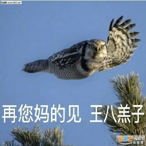 给你一个你最爱的大嘴巴子表情包