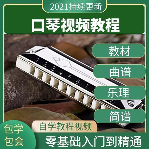 自学口琴视频教程学生初学者零基础入门十孔布鲁斯24孔半音阶教学