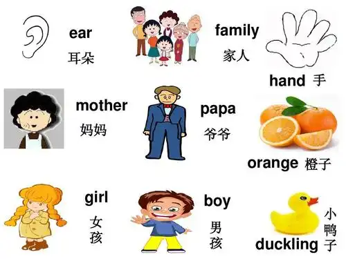 广东版儿童英语二年级下册 lesson one-lesson twelve单词复习答案ppt