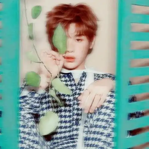 微信头像黄明昊