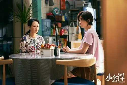 电视剧小舍得开播曝伴我飞翔版海报