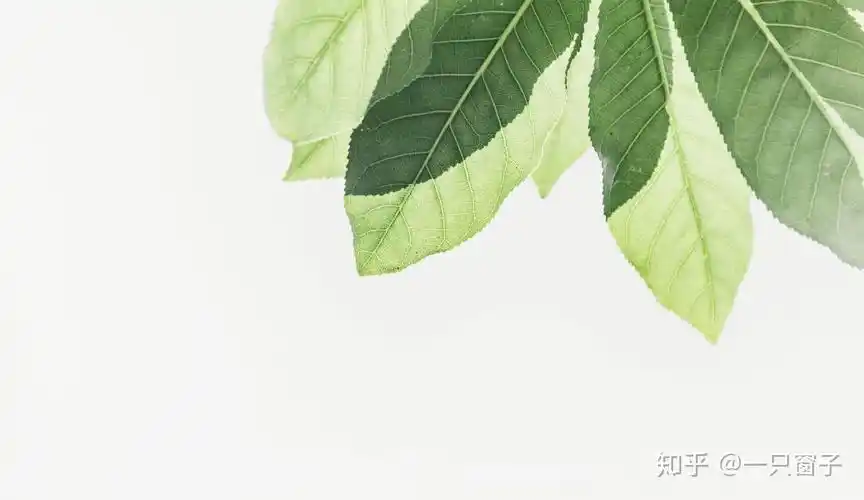 可以推荐冷淡风的背景图吗?