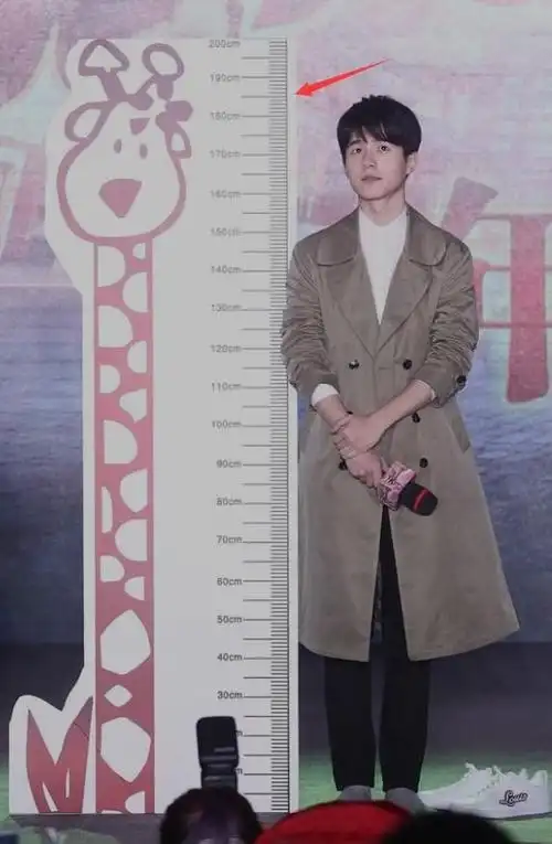 明星身高扑朔迷离刘昊然现场脱鞋实测日后恐将难有明星同框