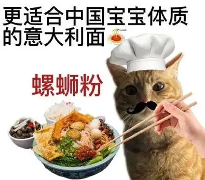 更适合中国宝宝体质的意大利面螺蛳粉 斗图