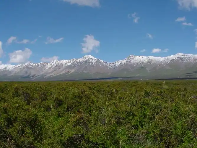 青海海北高寒草地生态系统国家野外科学观测研究站
